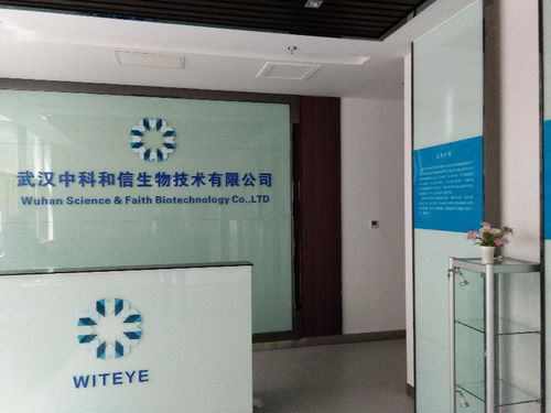 十二年匠心铸就，专业发光字与广告牌制作安装专家——聚焦武汉喷绘招牌与广告设计